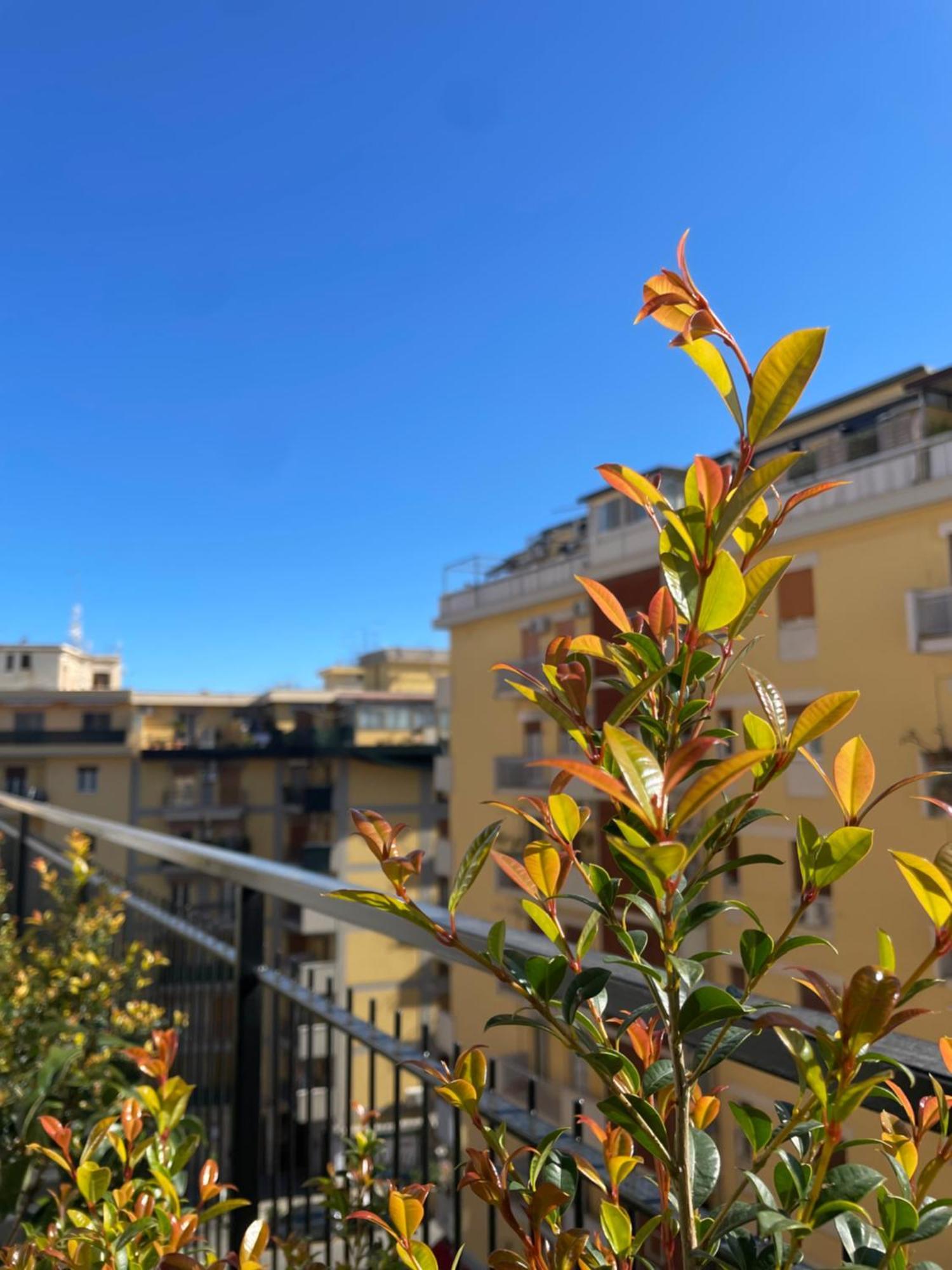 Terrazza L Emiro Casa Vacanze Lejlighed Palermo Eksteriør billede